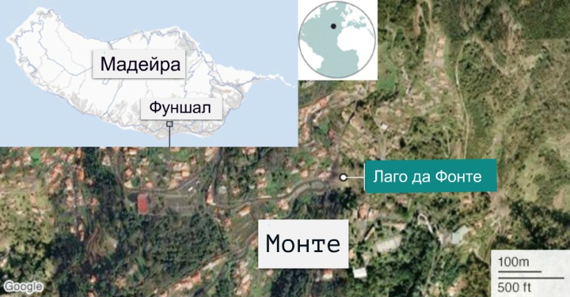 Tragedy in Portugal: 200-year-old oak tree killed 13 people