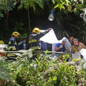 Tragedy in Portugal: 200-year-old oak tree killed 13 people