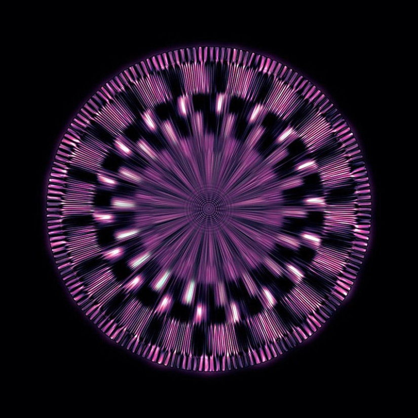 Translation of animal sounds into hypnotic images