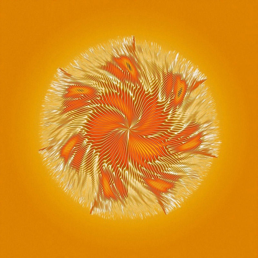 Translation of animal sounds into hypnotic images