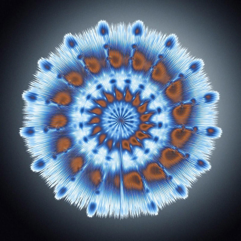 Translation of animal sounds into hypnotic images