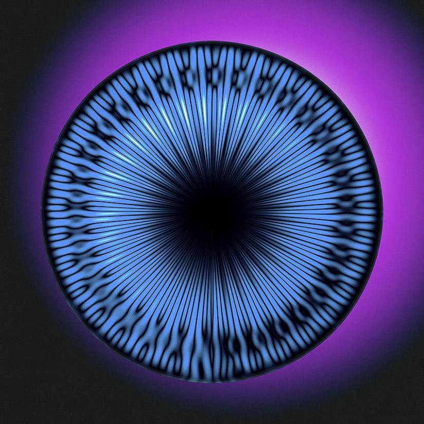 Translation of animal sounds into hypnotic images