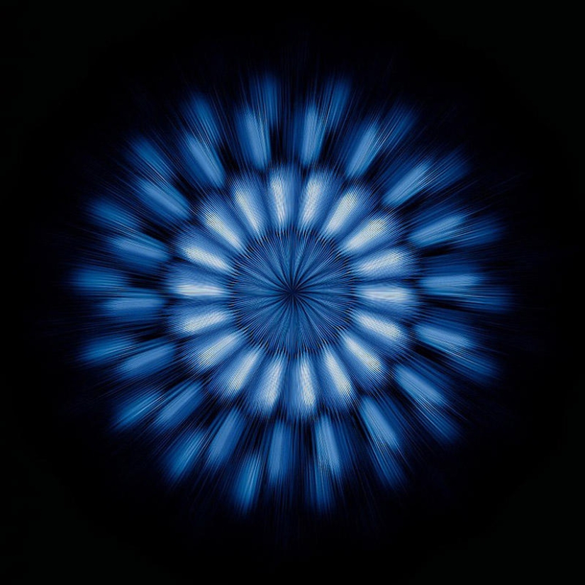 Translation of animal sounds into hypnotic images