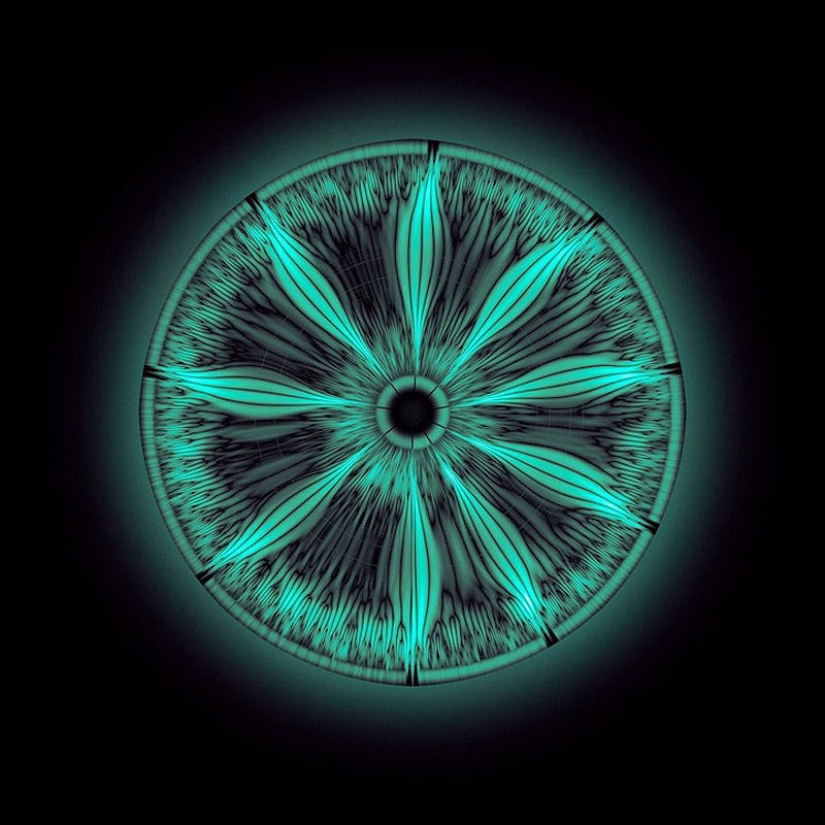 Translation of animal sounds into hypnotic images