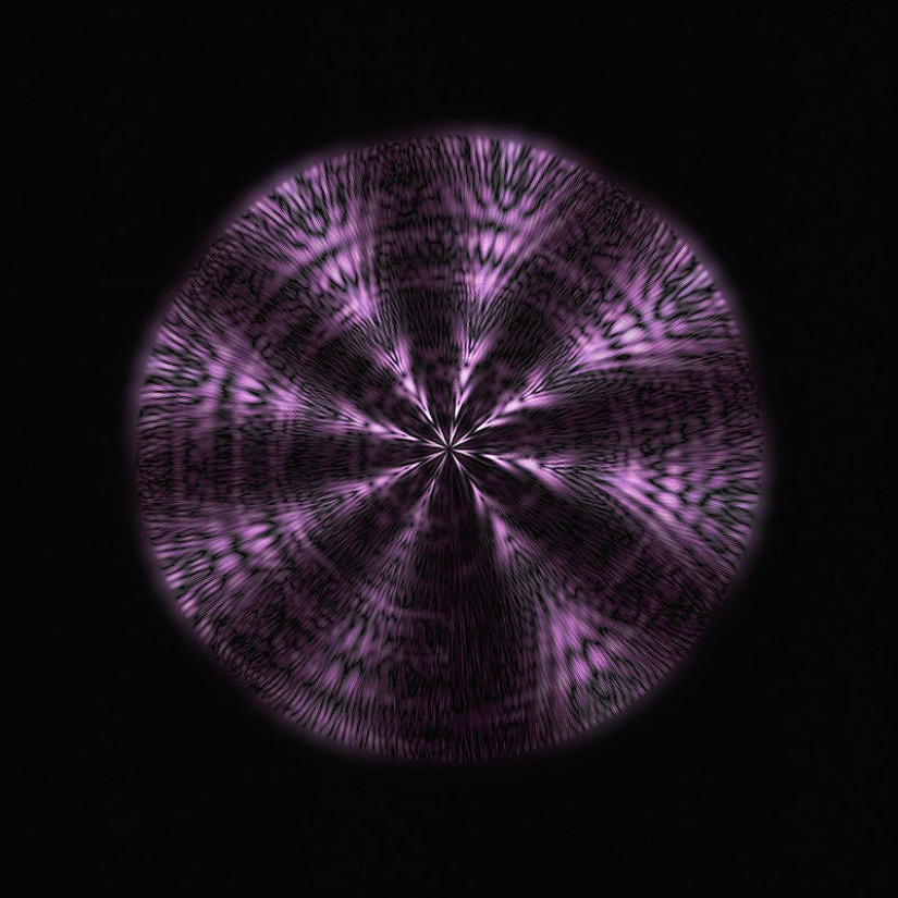 Translation of animal sounds into hypnotic images