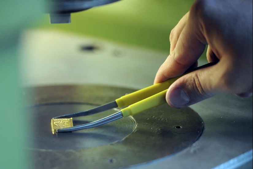 Transportador de dinero: cómo se organiza la producción en Goznak Transportador de dinero: cómo se organiza la producción en Goznak