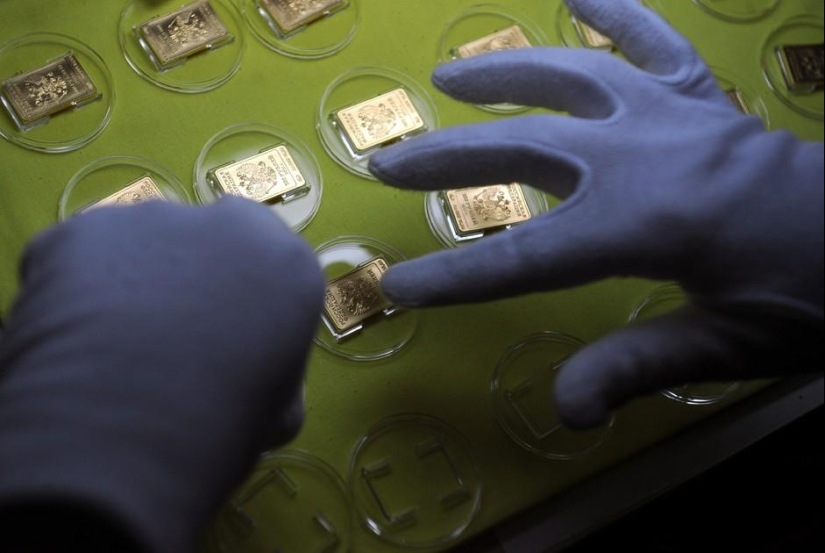 Transportador de dinero: cómo se organiza la producción en Goznak Transportador de dinero: cómo se organiza la producción en Goznak