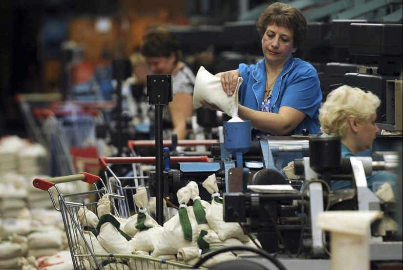 Transportador de dinero: cómo se organiza la producción en Goznak Transportador de dinero: cómo se organiza la producción en Goznak