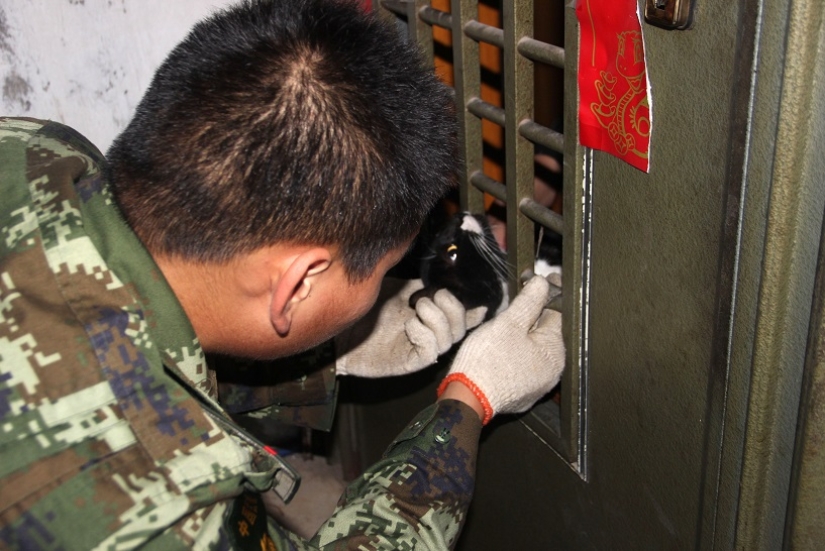 Tras los pasos de Winnie the Pooh: Bestias atascadas