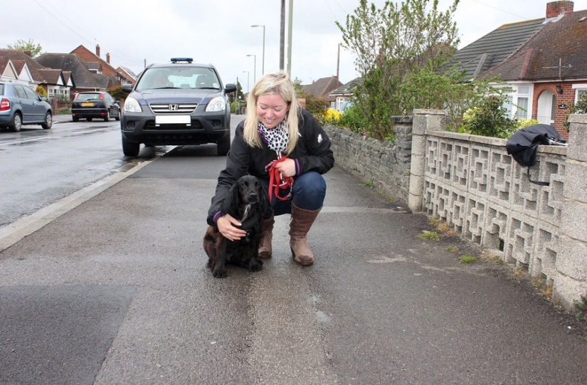 Tras los pasos de Winnie the Pooh: Bestias atascadas