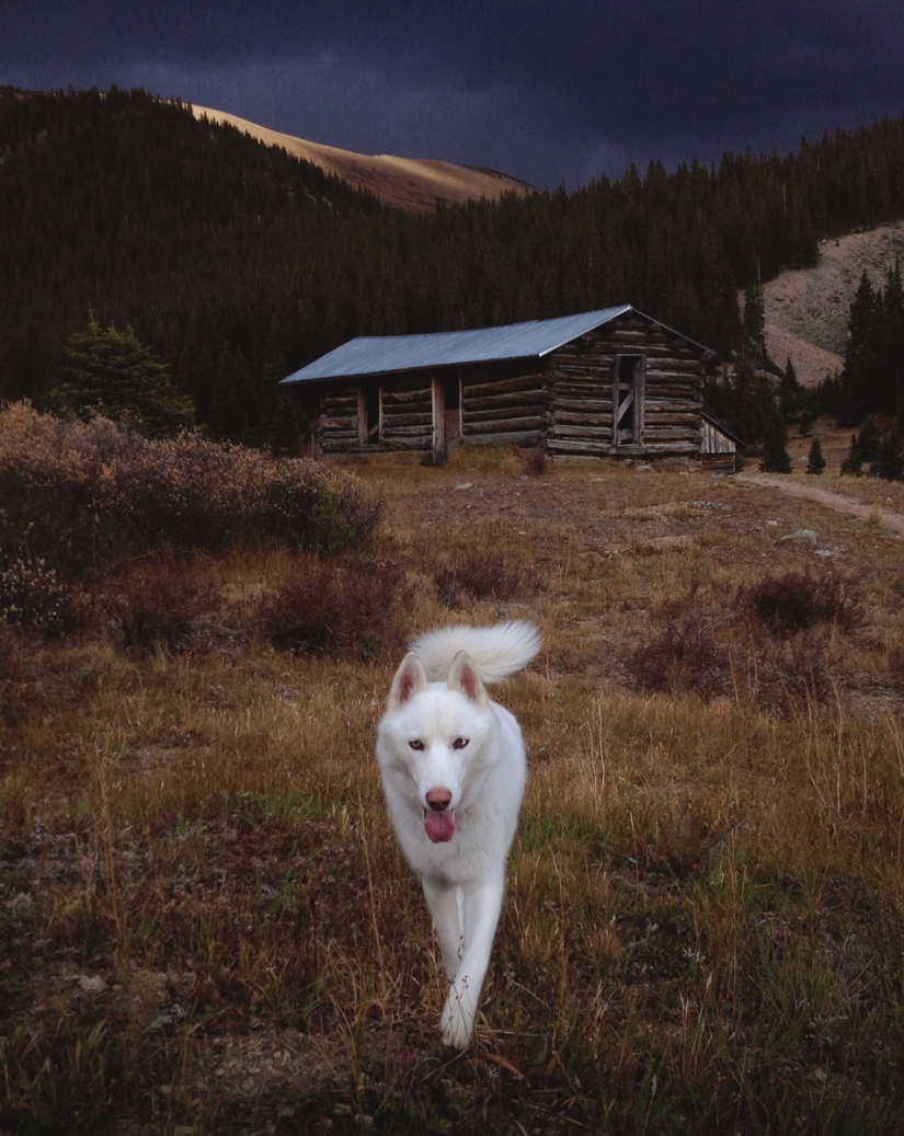 Travels of John and his husky Wolf Travels of John and his husky Wolf