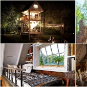 Treehouse for adults