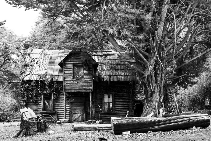 "Tribe and Place" "Tribe and Place"