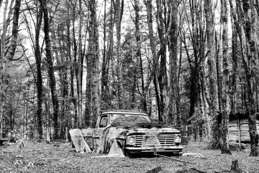 "Tribe and Place" "Tribe and Place"