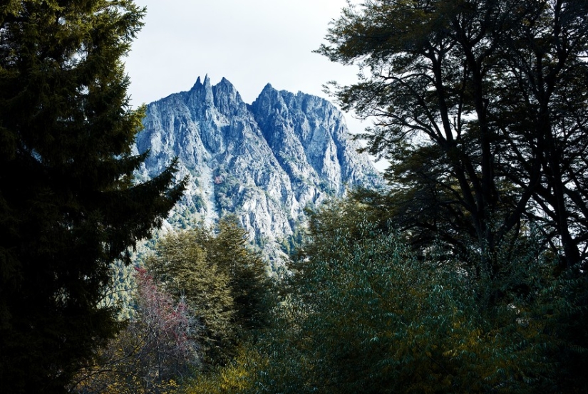 "Tribe and Place" "Tribe and Place"