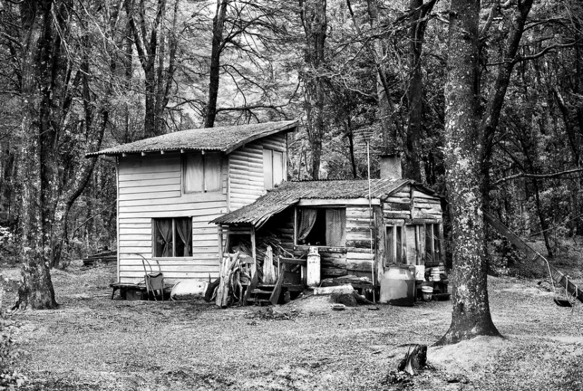 "Tribe and Place" "Tribe and Place"