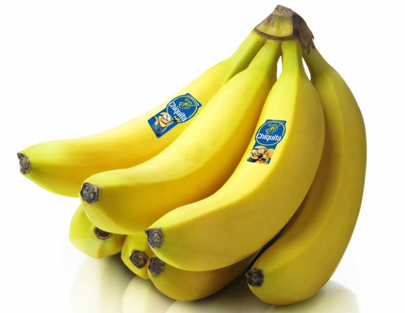 Trucos de vida que la gente perezosa le dio al mundo Trucos de vida que la gente perezosa le dio al mundo