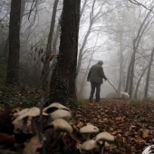 Truffle hunting in Italy