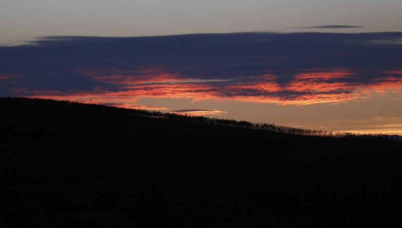 Truffle hunting in Italy