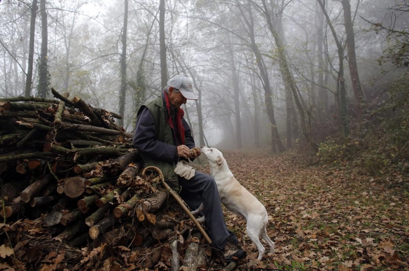 Truffle hunting in Italy
