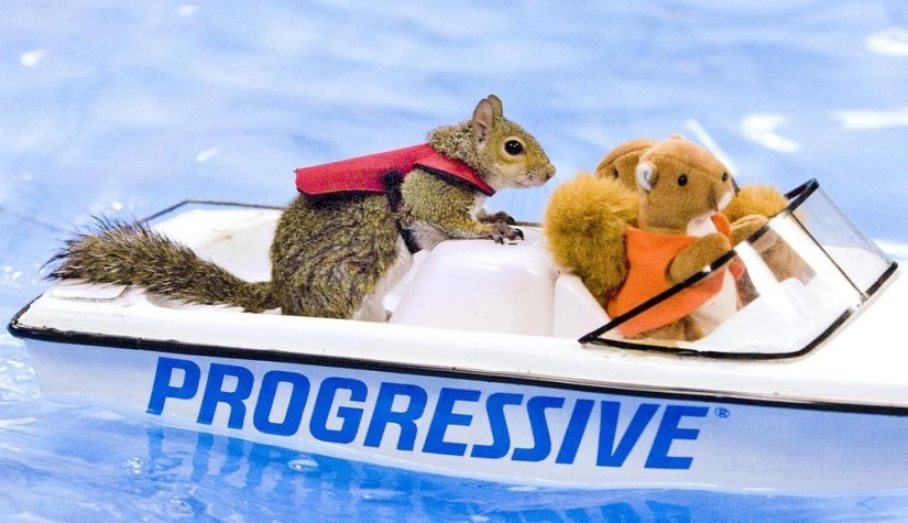 Twiggy is a squirrel who loves water skiing.
