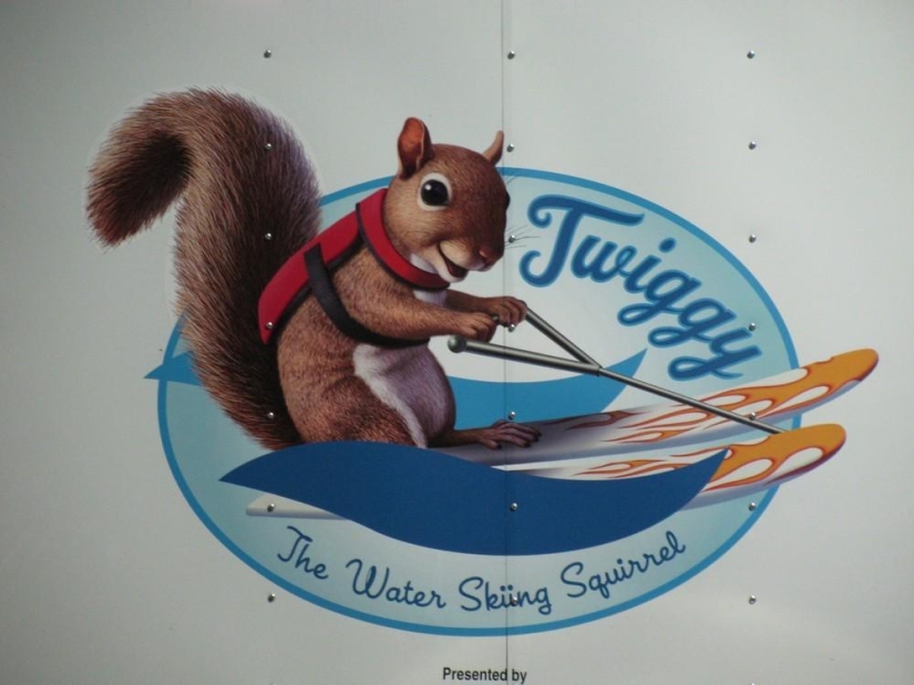 Twiggy is a squirrel who loves water skiing.