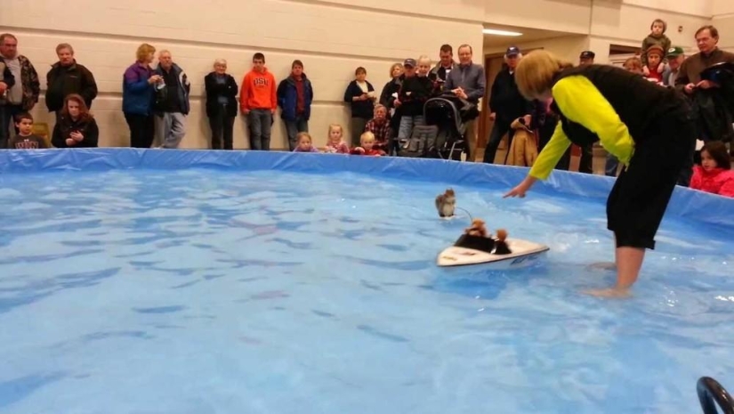 Twiggy is a squirrel who loves water skiing.