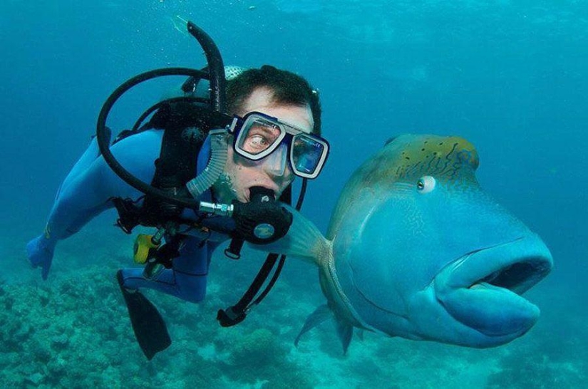 Twisted Sifter's 100 Best Photos of the Year