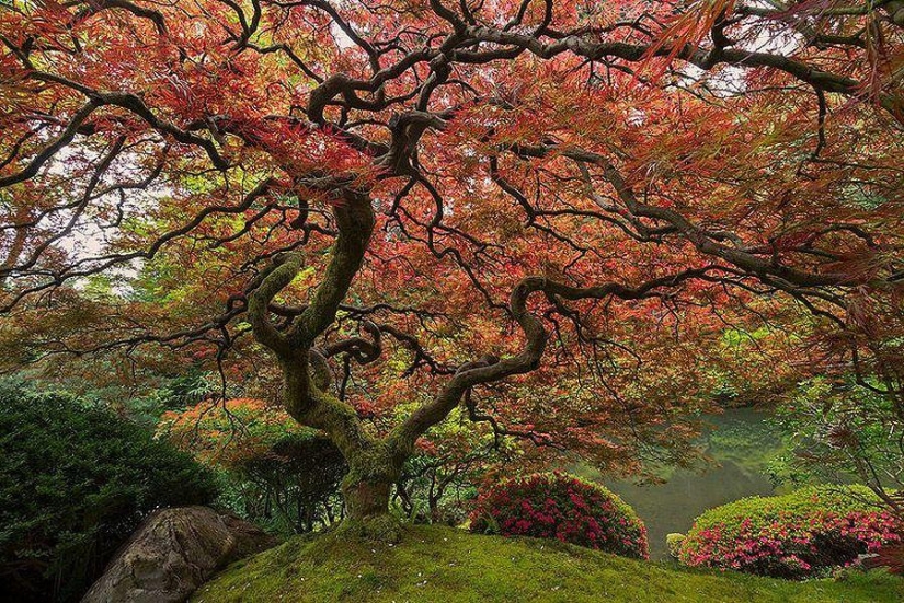 Twisted Sifter's 100 Best Photos of the Year