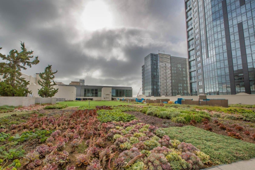 Twitter's new office in San Francisco