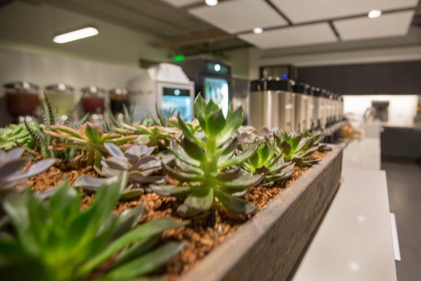 Twitter's new office in San Francisco