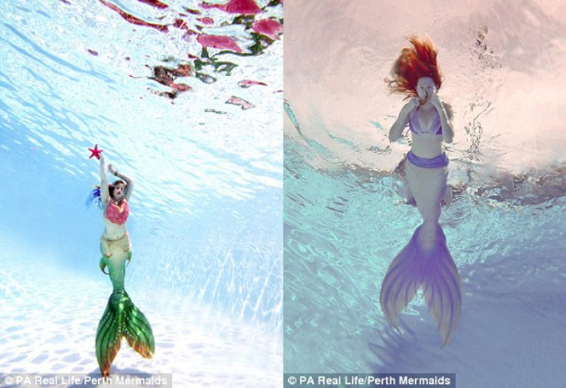 Two Little Mermaids: Disney-obsessed girlfriends have grown silicone tails and swim with sharks