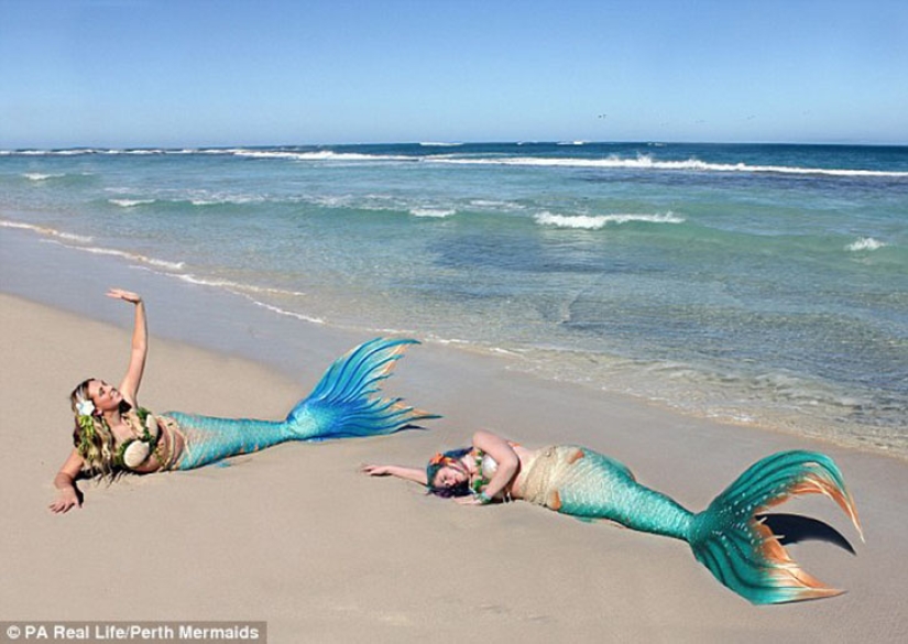Two Little Mermaids: Disney-obsessed girlfriends have grown silicone tails and swim with sharks
