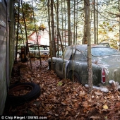 Un Aston Martin oxidado que ha estado parado en el bosque durante 40 años se vende por 400 mil dólares