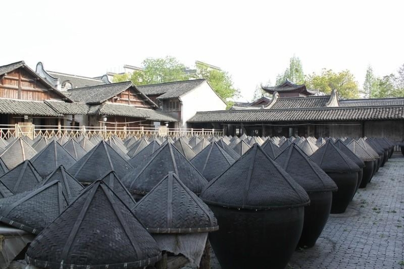 Un día en la "Venecia China" Un día en la "Venecia China"