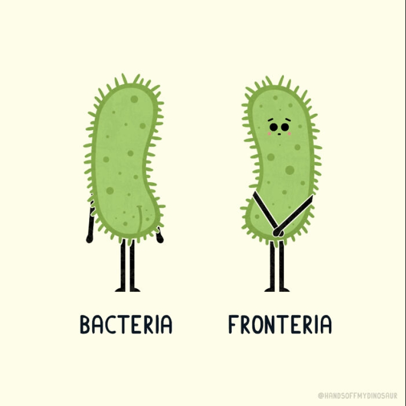 Un divertido giro de palabras: mi serie de 15 ilustraciones punny y sus extravagantes opuestos