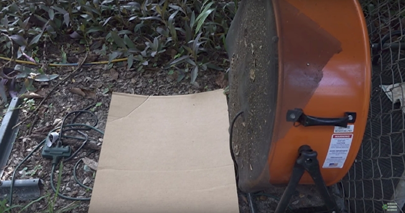 Un Estadounidense Mata 4.000 Mosquitos Cada Noche Usando a Su Perro como Cebo