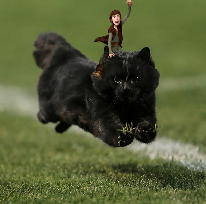 Un gato negro saltó al campo durante un partido de rugby y se convirtió en un héroe del photojab Un gato negro saltó al campo durante un partido de rugby y se convirtió en un héroe del photojab