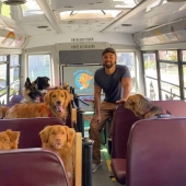 Un hombre creó un autobús escolar para perros que lleva a los cachorros a paseos diarios