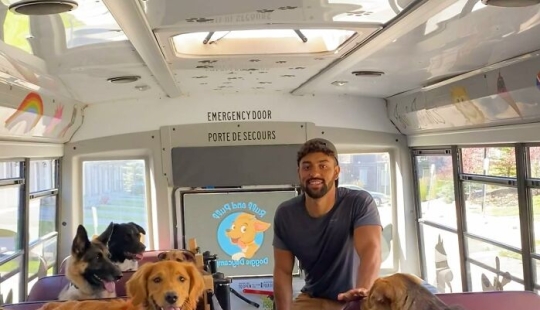 Un hombre creó un autobús escolar para perros que lleva a los cachorros a paseos diarios