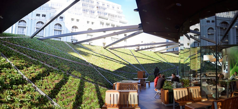 Un McDonald's futurista fue construido en Batumi Un McDonald's futurista fue construido en Batumi