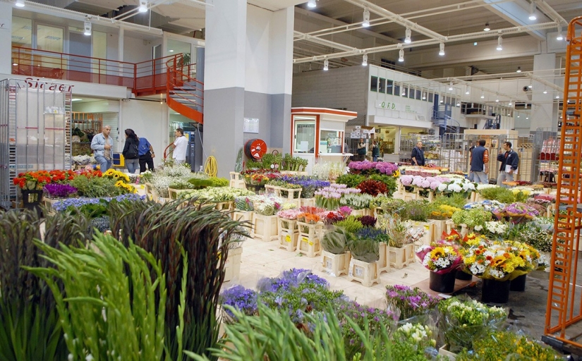 Un mercado gigante donde compran los mejores chefs franceses Un mercado gigante donde compran los mejores chefs franceses