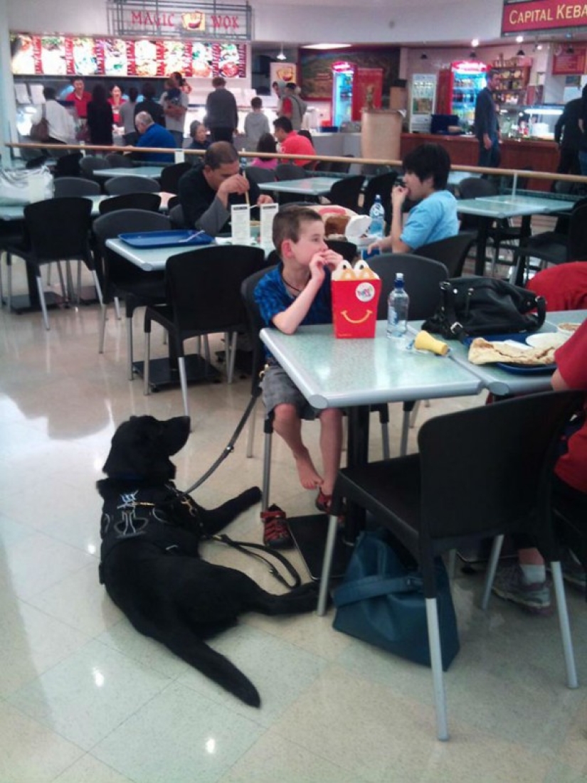 Un niño con autismo solo puede ser ayudado por su amigo perro