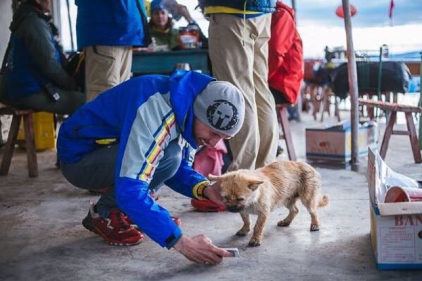 Un perro callejero corrió 40 km detrás de un atleta durante un maratón y encontró un nuevo dueño Un perro callejero corrió 40 km detrás de un atleta durante un maratón y encontró un nuevo dueño