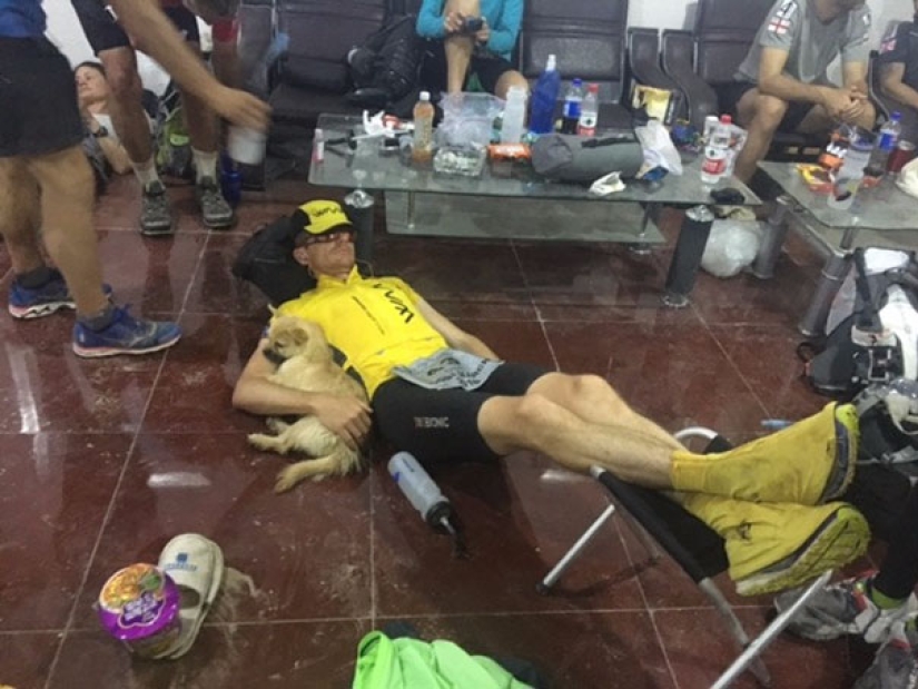 Un perro callejero corrió 40 km detrás de un atleta durante un maratón y encontró un nuevo dueño Un perro callejero corrió 40 km detrás de un atleta durante un maratón y encontró un nuevo dueño