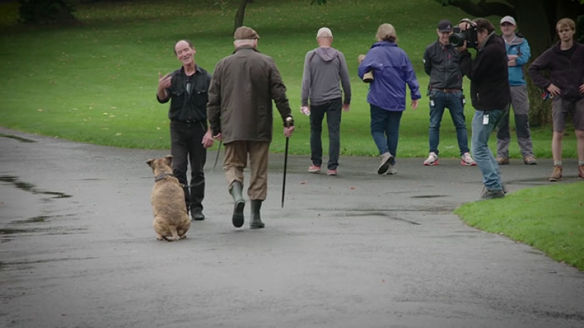 Un perro que no ha atraído a 18 mil visitantes al refugio durante 6 años se ha convertido en una estrella de cine Un perro que no ha atraído a 18 mil visitantes al refugio durante 6 años se ha convertido en una estrella de cine