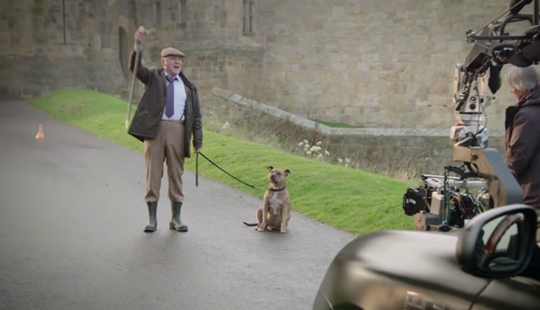 Un perro que no ha atraído a 18 mil visitantes al refugio durante 6 años se ha convertido en una estrella de cine