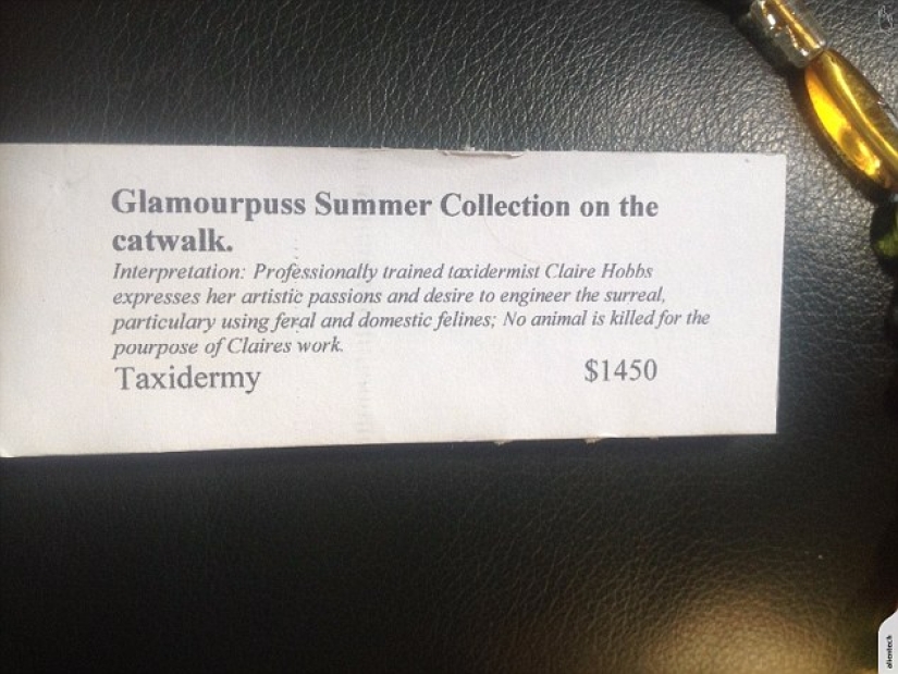 Un taxidermista de Nueva Zelanda provocó un escándalo al subastar un bolso hecho con un gato Un taxidermista de Nueva Zelanda provocó un escándalo al subastar un bolso hecho con un gato