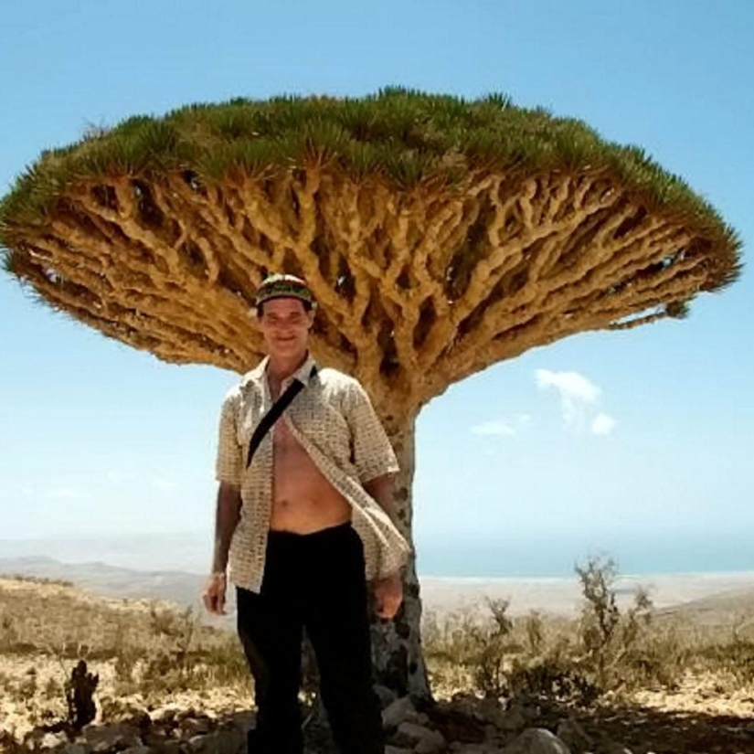 Un turista vagó por el mundo durante 23 años Un turista vagó por el mundo durante 23 años