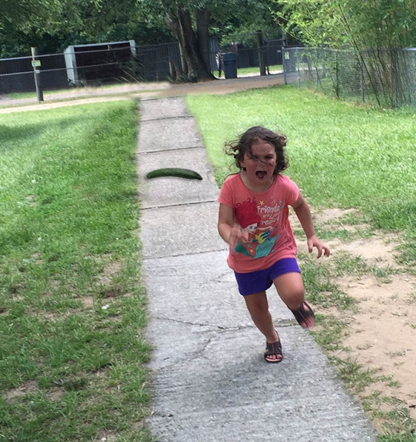 Un viaje fallido al zoológico dio lugar a un meme con una niña que le quitaba los pies a un pavo real Un viaje fallido al zoológico dio lugar a un meme con una niña que le quitaba los pies a un pavo real